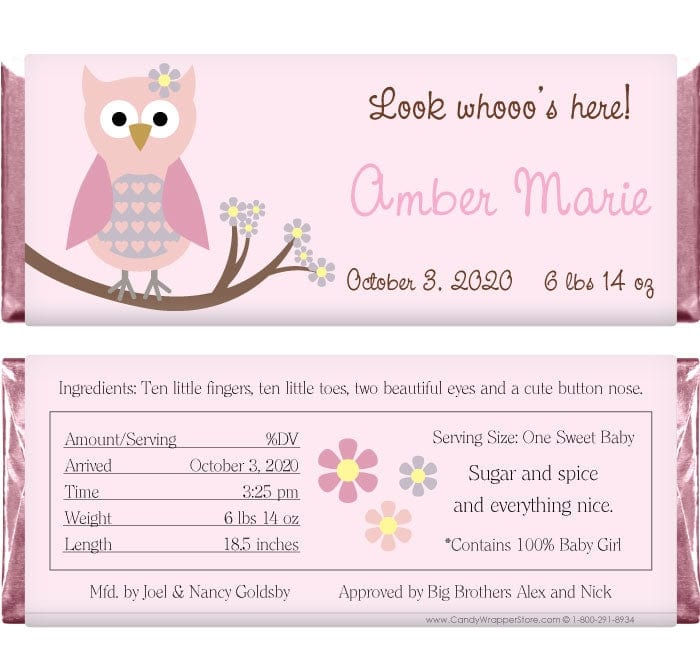 BAG240 - Baby Girl Owl Candy Bar Wrappers Baby Girl Owl Candy Bar Wrappers Birth Announcement BAG240